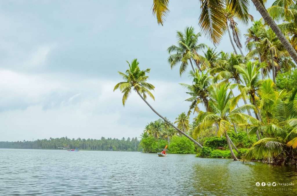 Kayaking in Kerala SYZYGY Ecosports Tripjodi